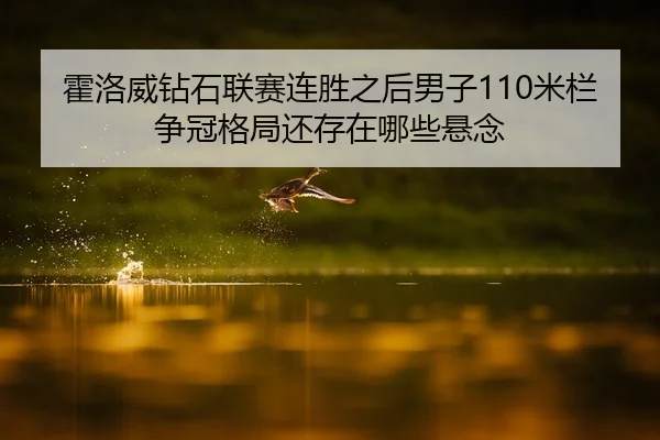 霍洛威钻石联赛连胜之后男子110米栏争冠格局还存在哪些悬念